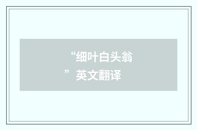 “细叶白头翁”英文翻译