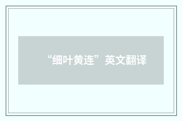 “细叶黄连”英文翻译