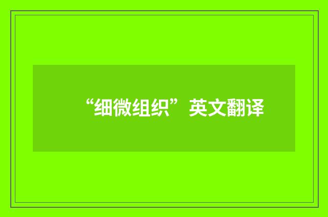 “细微组织”英文翻译
