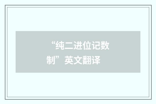 “纯二进位记数制”英文翻译