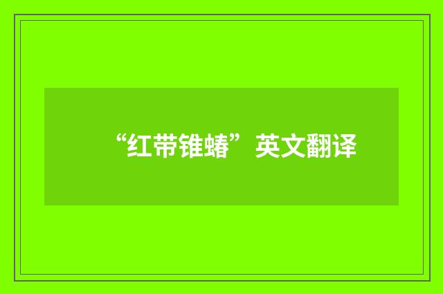 “红带锥蝽”英文翻译