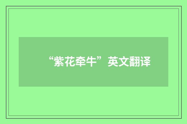 “紫花牵牛”英文翻译