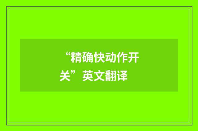 “精确快动作开关”英文翻译