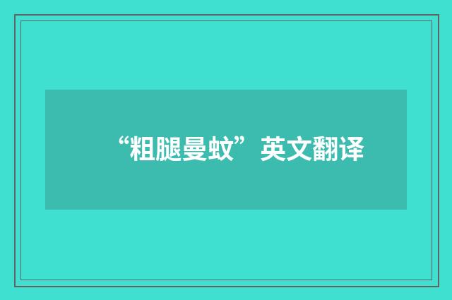 “粗腿曼蚊”英文翻译