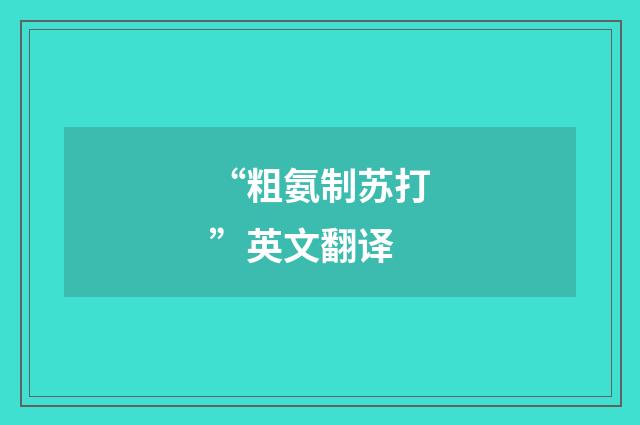 “粗氨制苏打”英文翻译