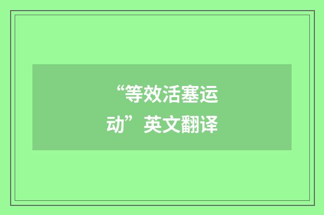 “等效活塞运动”英文翻译
