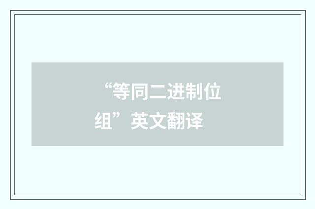 “等同二进制位组”英文翻译