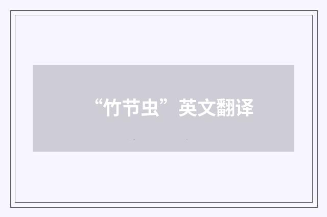 “竹节虫”英文翻译