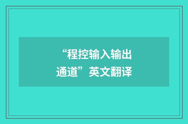 “程控输入输出通道”英文翻译