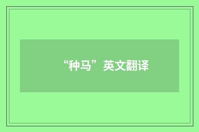 “种马”英文翻译