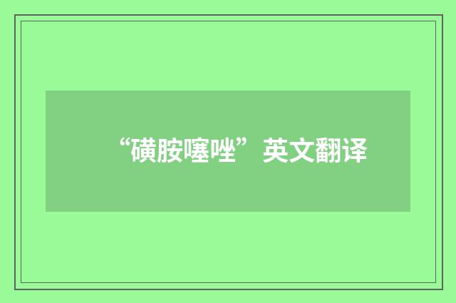 “磺胺噻唑”英文翻译