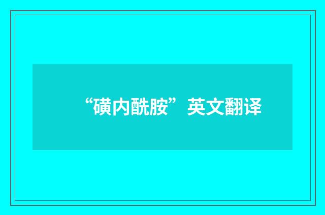 “磺内酰胺”英文翻译