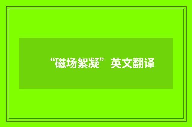 “磁场絮凝”英文翻译
