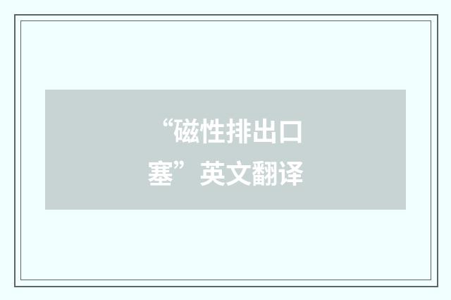 “磁性排出口塞”英文翻译