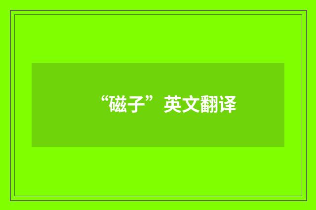 “磁子”英文翻译