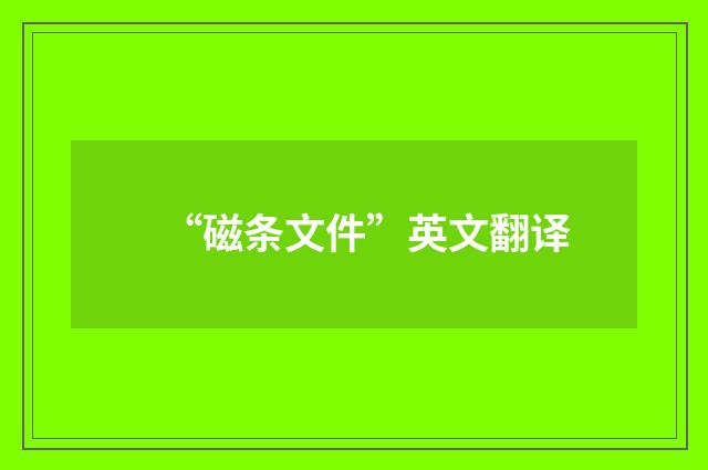 “磁条文件”英文翻译