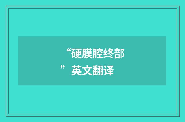 “硬膜腔终部”英文翻译