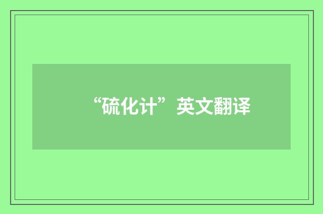 “硫化计”英文翻译