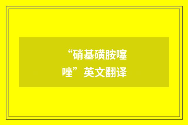 “硝基磺胺噻唑”英文翻译