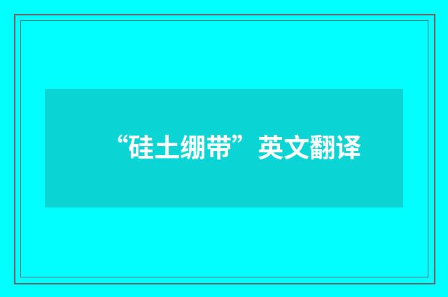 “硅土绷带”英文翻译
