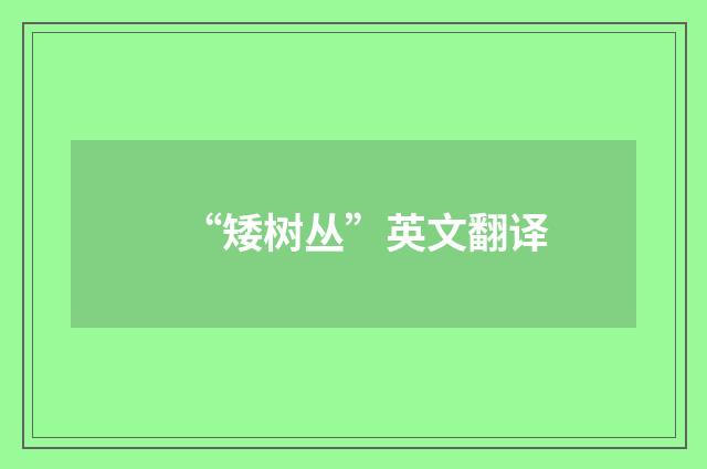 “矮树丛”英文翻译