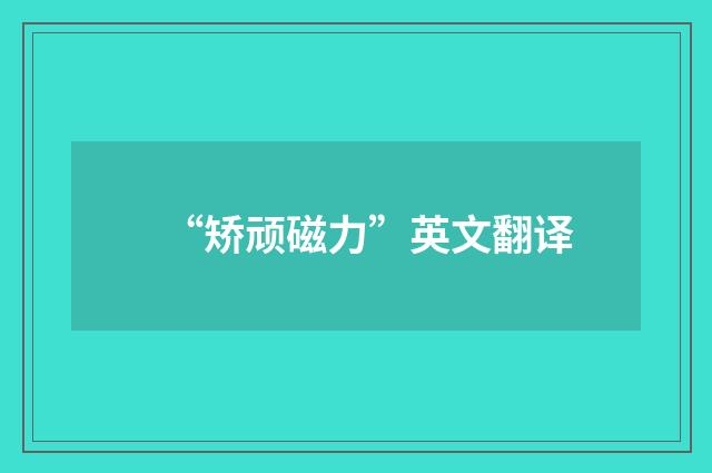 “矫顽磁力”英文翻译