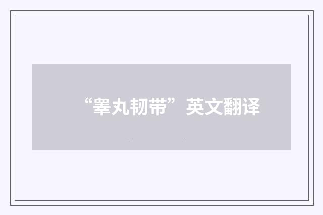 “睾丸韧带”英文翻译