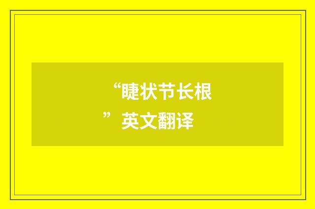 “睫状节长根”英文翻译