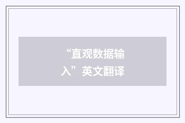 “直观数据输入”英文翻译
