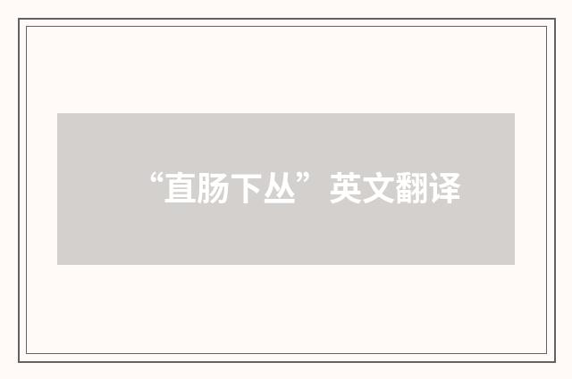 “直肠下丛”英文翻译