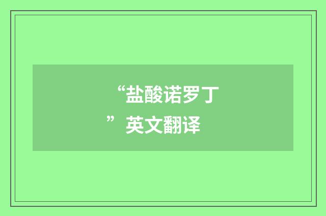 “盐酸诺罗丁”英文翻译