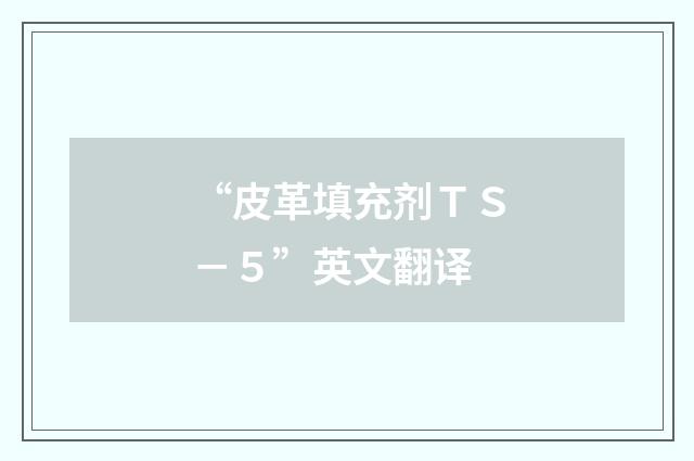 “皮革填充剂ＴＳ－５”英文翻译