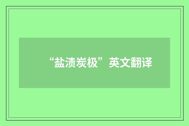 “盐渍炭极”英文翻译