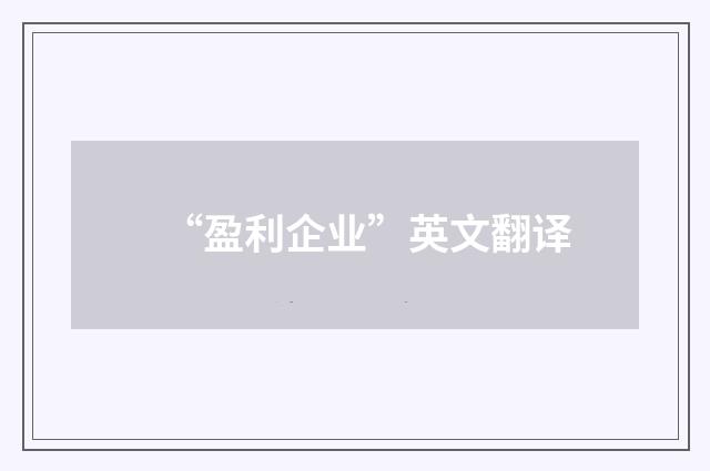 “盈利企业”英文翻译