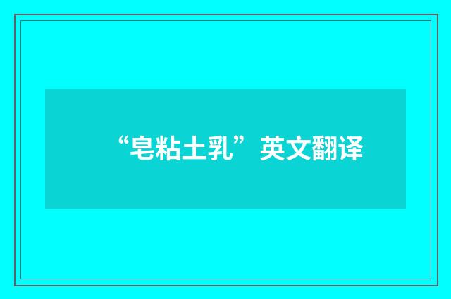 “皂粘土乳”英文翻译