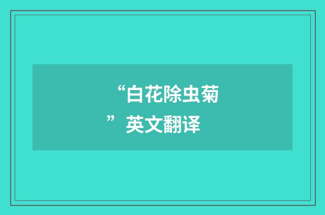 “白花除虫菊”英文翻译