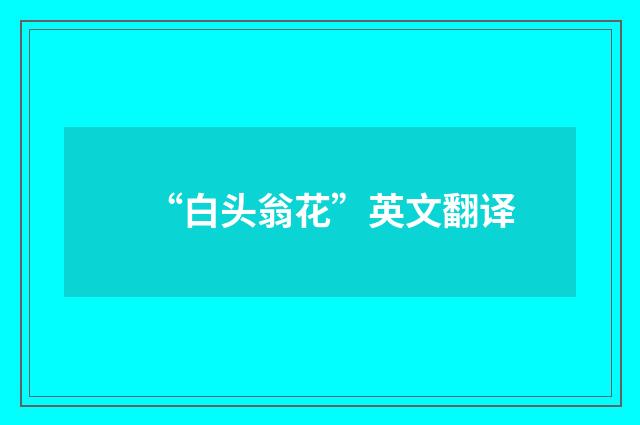 “白头翁花”英文翻译