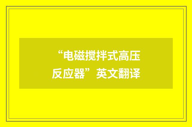 “电磁搅拌式高压反应器”英文翻译