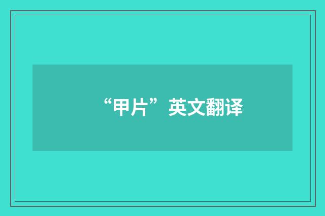 “甲片”英文翻译