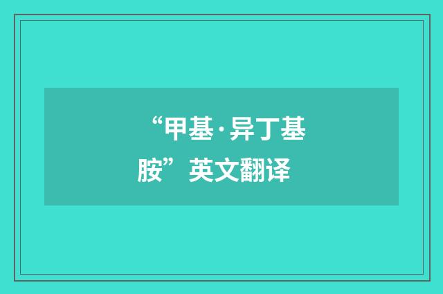 “甲基·异丁基胺”英文翻译