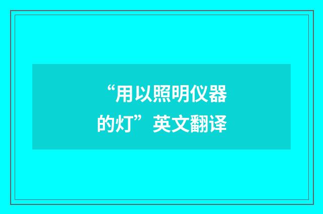 “用以照明仪器的灯”英文翻译