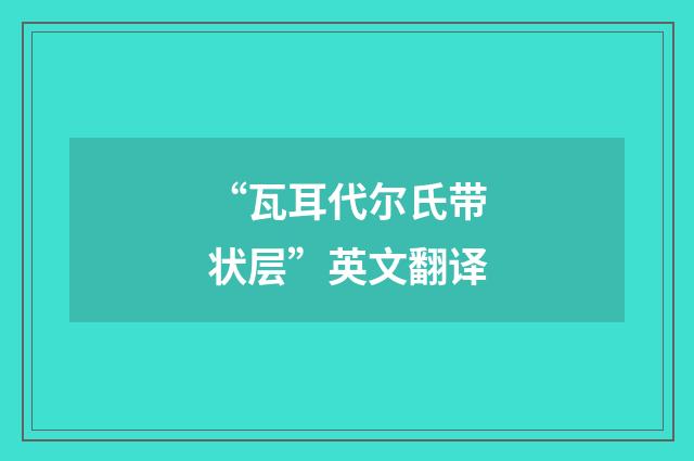 “瓦耳代尔氏带状层”英文翻译
