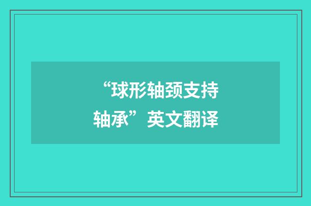 “球形轴颈支持轴承”英文翻译