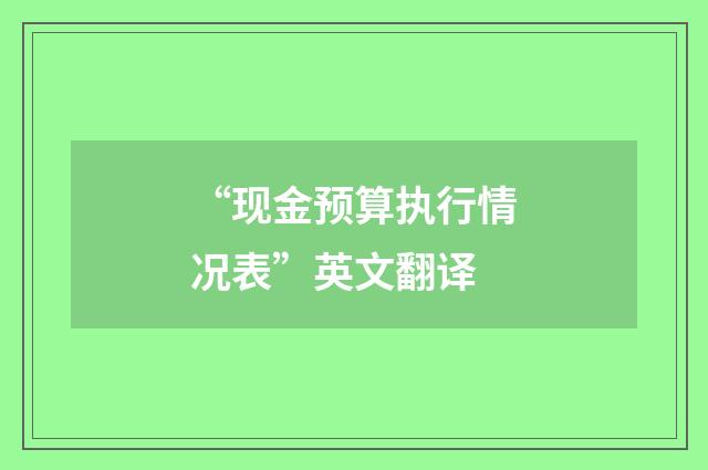 “现金预算执行情况表”英文翻译