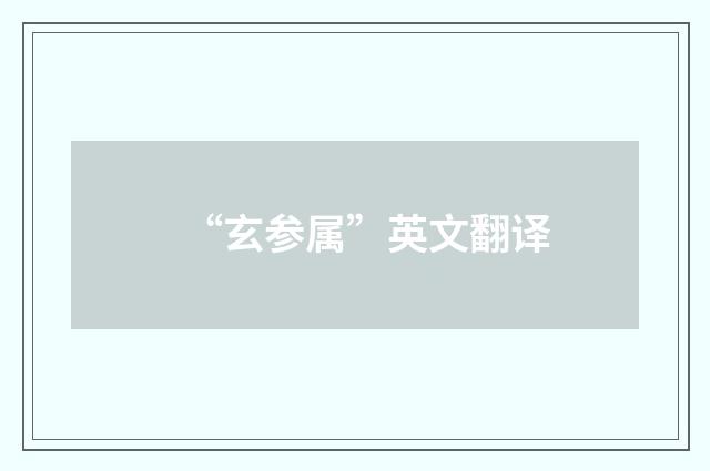 “玄参属”英文翻译