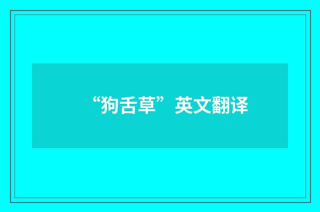 “狗舌草”英文翻译