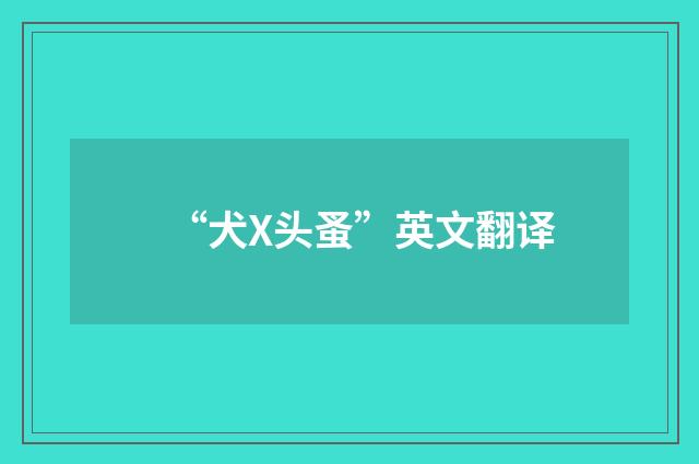 “犬Х头蚤”英文翻译