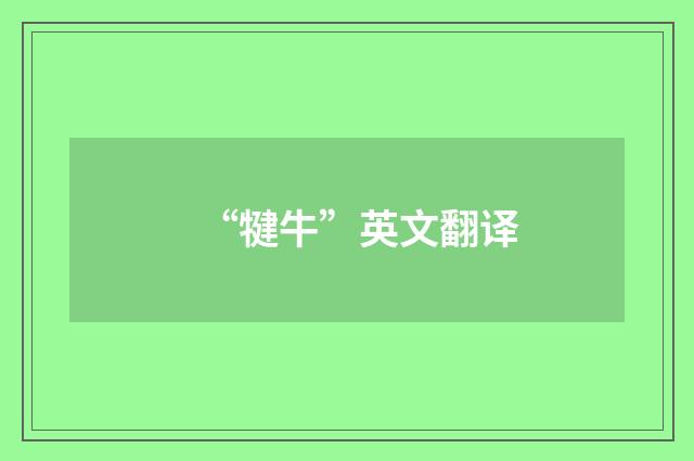 “犍牛”英文翻译