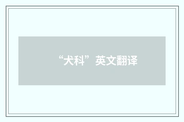 “犬科”英文翻译