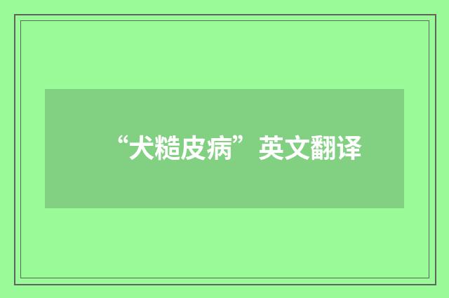 “犬糙皮病”英文翻译